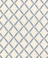 Protostar 1 Harbor by Barrow Industries Designer Fabric