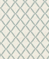 Protostar 1 Mist by Barrow Industries Designer Fabric