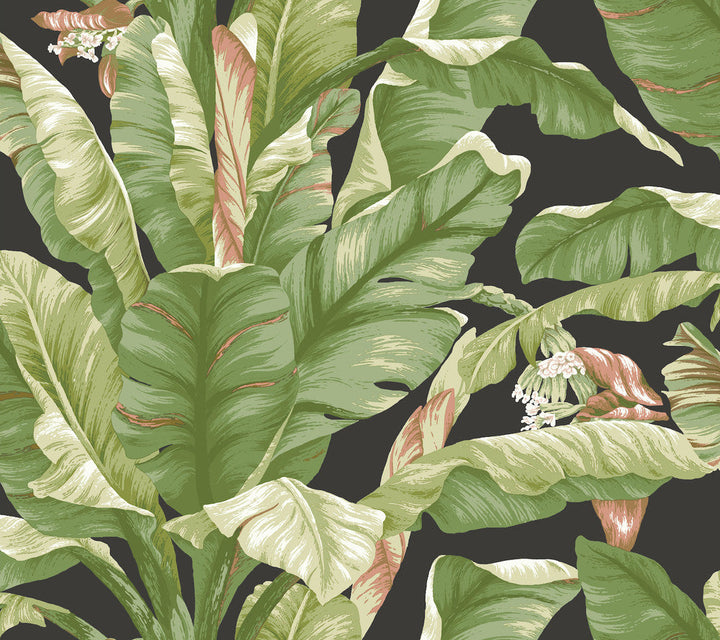 Banana Leaf Black & Green Peel & Stick Wallpaper by York Wallcoverings Designer York Premium Peel + Stick Covers about 45 square feet 27-in by 20-ft long roll Peel & Stick 25.25 - Swanky Fabrics -