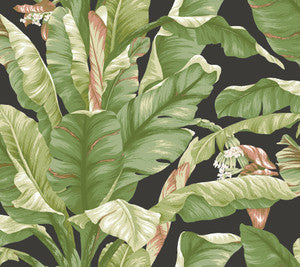 York Wallcoverings Wallpaper Banana Leaf Black & Green Peel & Stick