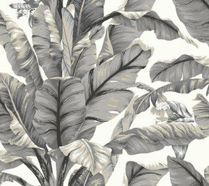 York Wallcoverings Wallpaper Banana Leaf White & Black Peel & Stick