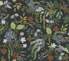 Rifle Paper Co. Wallpaper Juniper Forest Peel and Stick Black