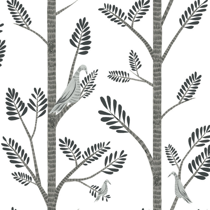 Aviary Branch Grey Peel & Stick Wallpaper by York Wallcoverings Designer York Premium Peel + Stick Risky Business Vol. III Covers about 34.2 square feet 20.5-in by 20-ft long roll Peel & Stick 20.5 - Swanky Fabrics -