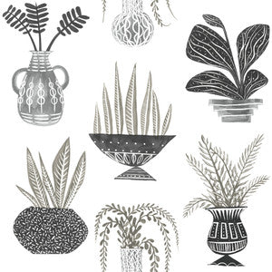 York Wallcoverings Wallpaper Plant Party Black Peel & Stick