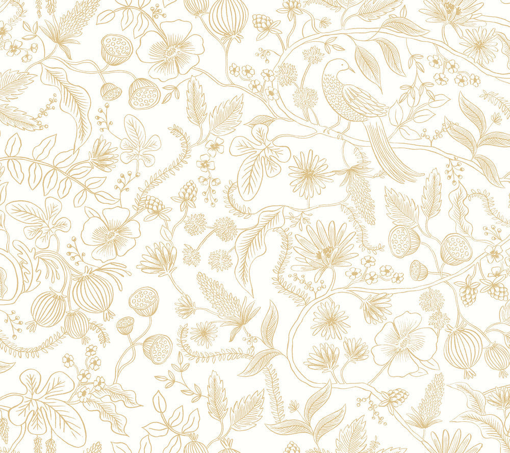 Aviary Off White & Gold Peel & Stick Wallpaper by Rifle Paper Co. Designer Rifle Paper Co. Premium Peel & Stick Covers about 45 square feet 27-in by 20-ft long roll Peel & Stick 24 - Swanky Fabrics -