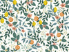Rifle Paper Co. Wallpaper Citrus Grove Peel and Stick White
