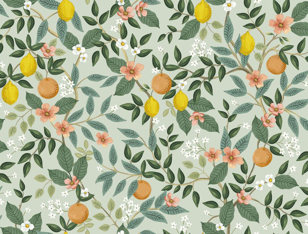Citrus Grove Mint Peel & Stick Wallpaper by Rifle Paper Co. Designer P&S Rifle Paper 2 Covers about 45 square feet 27-in by 20-ft long roll Peel & Stick 20.5 - Swanky Fabrics -