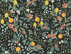 Rifle Paper Co. Wallpaper Citrus Grove Peel and Stick Black
