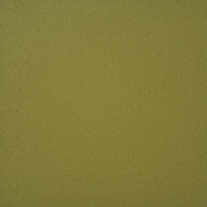 Pinto # 728 Spring by Maxwell Designer Fabric Easy Rider Iv 100% PVC CHINA 54" - Swanky Fabrics -