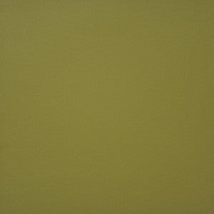 Maxwell Fabric Pinto # 728 Spring