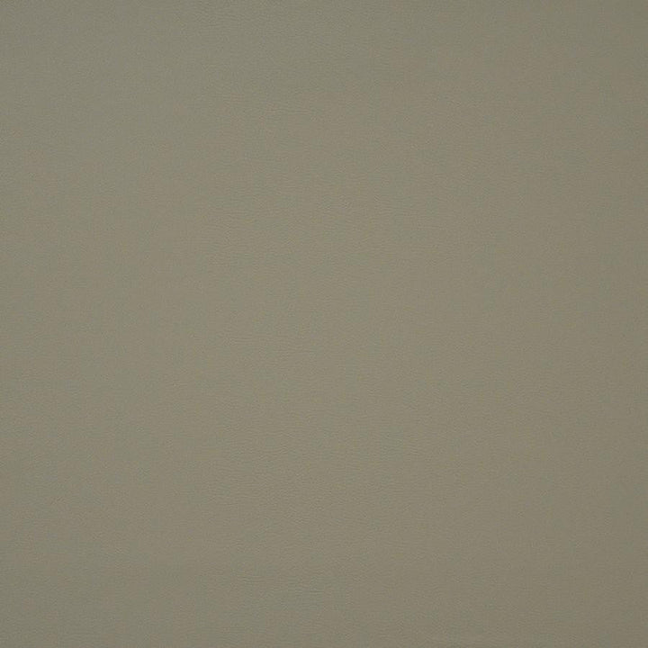 Pinto # 733 Bone by Maxwell Designer Fabric Easy Rider Iv 100% PVC CHINA 54" - Swanky Fabrics -