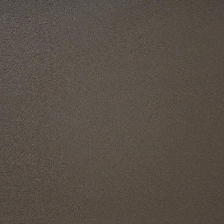 Pinto # 741 Coffee by Maxwell Designer Fabric Easy Rider Iv 100% PVC CHINA 54" - Swanky Fabrics -