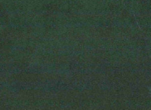 Puma Jungle 338 by Norbar Designer Fabric | PUMA JUNGLE 338 | 100% POLYESTER | 55 | China