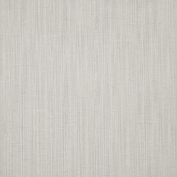 Palladio # 550 Silver by Maxwell Designer Fabric Pure & Simple Xii 100% POLYESTER INDIA 54" - Swanky Fabrics -