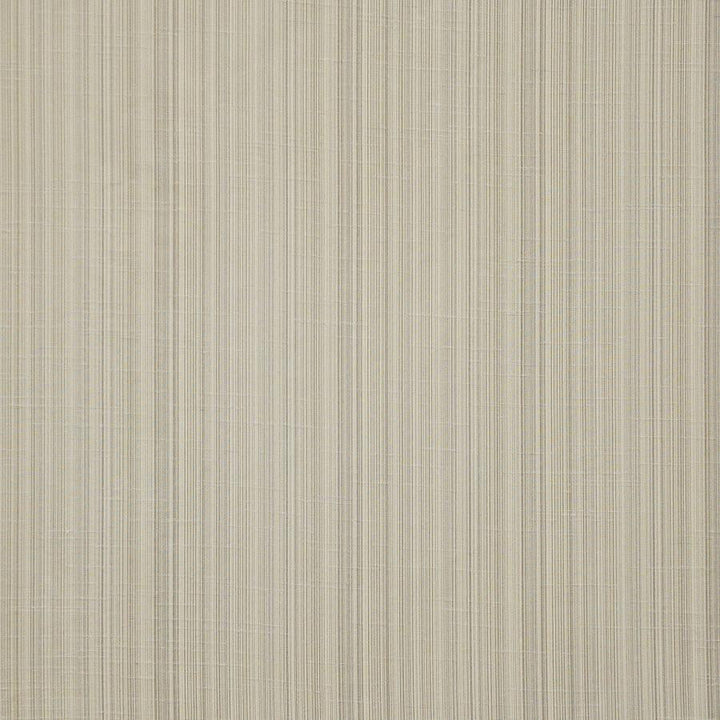 Palladio # 558 Natural by Maxwell Designer Fabric Pure & Simple Xii 100% POLYESTER INDIA 54" - Swanky Fabrics -