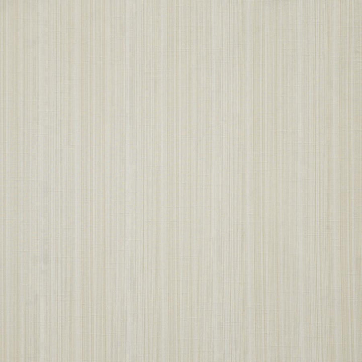Palladio # 560 Biscuit by Maxwell Designer Fabric Pure & Simple Xii 100% POLYESTER INDIA 54" - Swanky Fabrics -