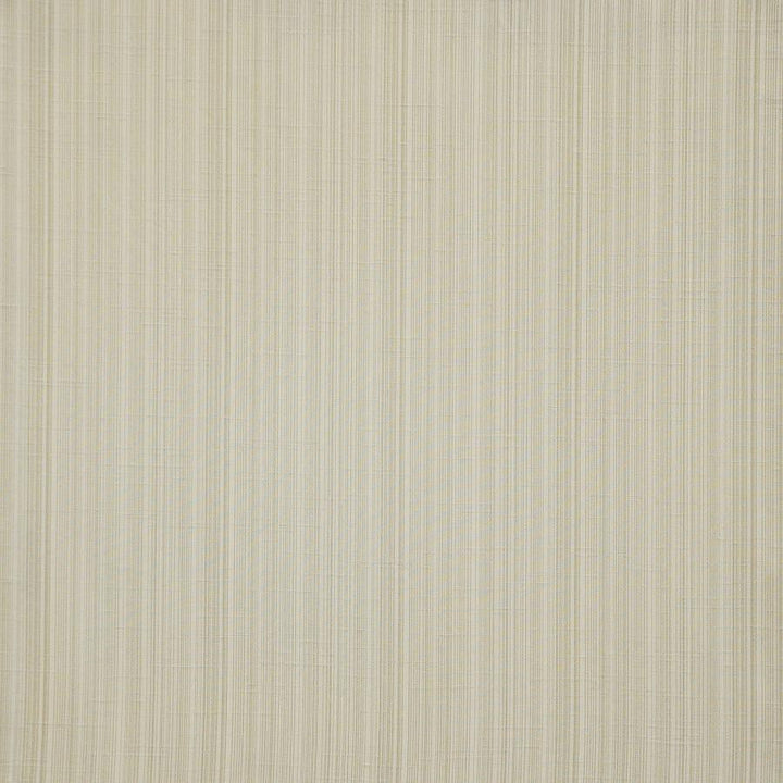 Palladio # 569 Truffle by Maxwell Designer Fabric Pure & Simple Xii 100% POLYESTER INDIA 54" - Swanky Fabrics -