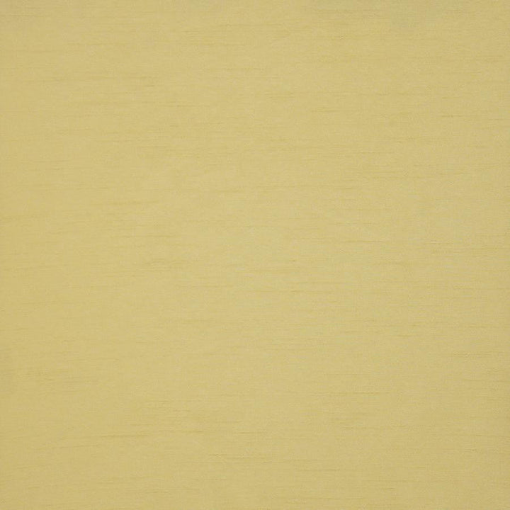 Prato # 541 Citrus by Maxwell Designer Fabric Pure & Simple Xii 100% POLYESTER INDIA 54" - Swanky Fabrics -