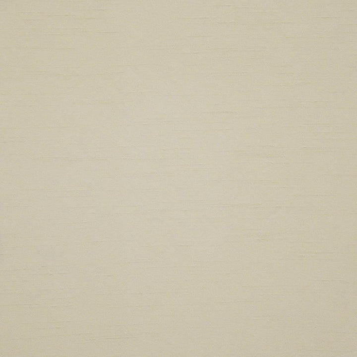 Prato # 559 Wafer by Maxwell Designer Fabric Pure & Simple Xii 100% POLYESTER INDIA 54" - Swanky Fabrics -