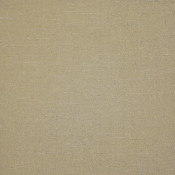 Prato # 570 Driftwood by Maxwell Designer Fabric Pure & Simple Xii 100% POLYESTER INDIA 54" - Swanky Fabrics -
