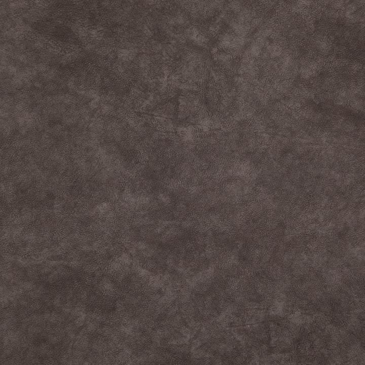 Plato # 02 Cocoa by Maxwell Designer Fabric Curled Up Vi 100% POLYESTER CHINA 55.5" - Swanky Fabrics -