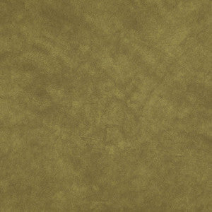 Maxwell Fabric Plato # 34 Lizard