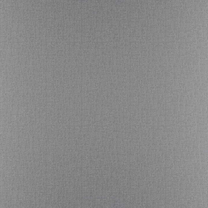 Phobos # 301 Ash by Maxwell Designer Fabric Performance Textures 100% POLYESTER CHINA 55" - Swanky Fabrics -