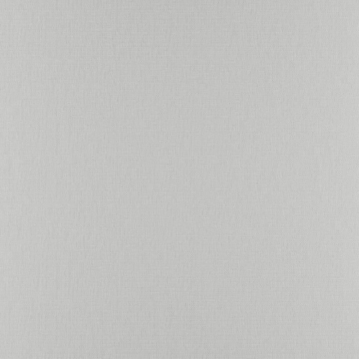 Phobos # 307 Porcelain by Maxwell Designer Fabric Performance Textures 100% POLYESTER CHINA 55" - Swanky Fabrics -