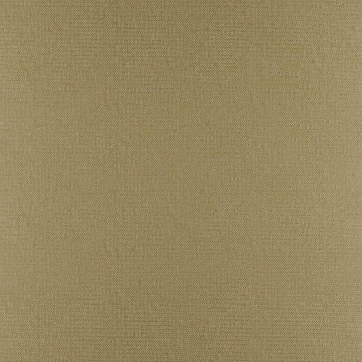 Phobos # 315 Cane by Maxwell Designer Fabric Performance Textures 100% POLYESTER CHINA 55" - Swanky Fabrics -