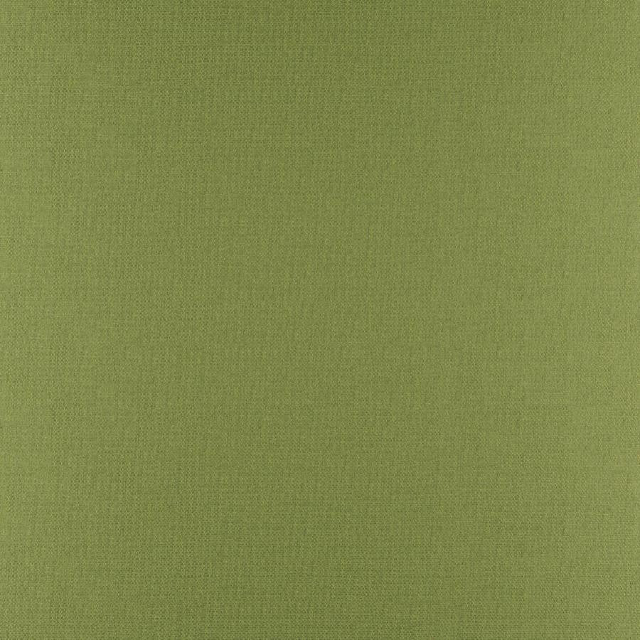 Phobos # 317 Palm by Maxwell Designer Fabric Performance Textures 100% POLYESTER CHINA 55" - Swanky Fabrics -