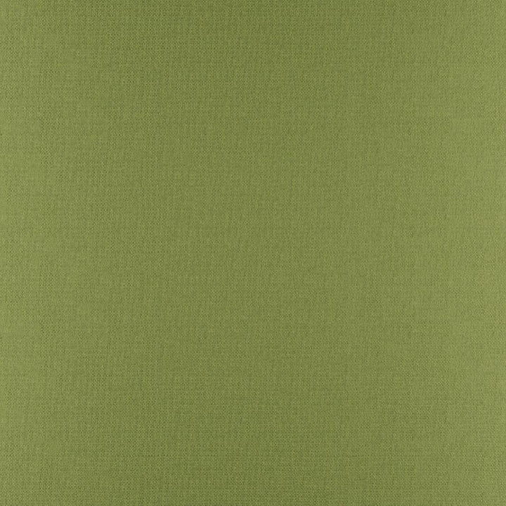 Phobos # 317 Palm by Maxwell Designer Fabric Performance Textures 100% POLYESTER CHINA 55" - Swanky Fabrics -
