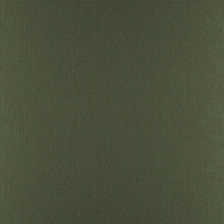 Phobos # 318 Cypress by Maxwell Designer Fabric Performance Textures 100% POLYESTER CHINA 55" - Swanky Fabrics -