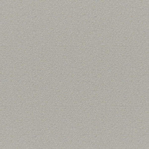 Maxwell Fabric Patagonia # 239 Almond