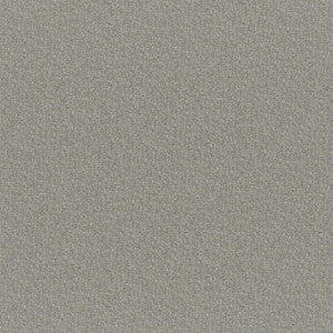 Maxwell Fabric Patagonia # 248 Pepper