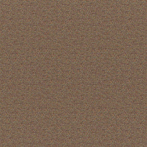 Maxwell Fabric Patagonia # 529 Chipmunk