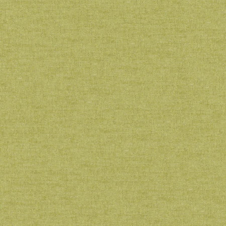 Pintura # 809 Thyme by Maxwell Designer Fabric Curled Up Viii 100% POLYESTER CHINA 55" - Swanky Fabrics -
