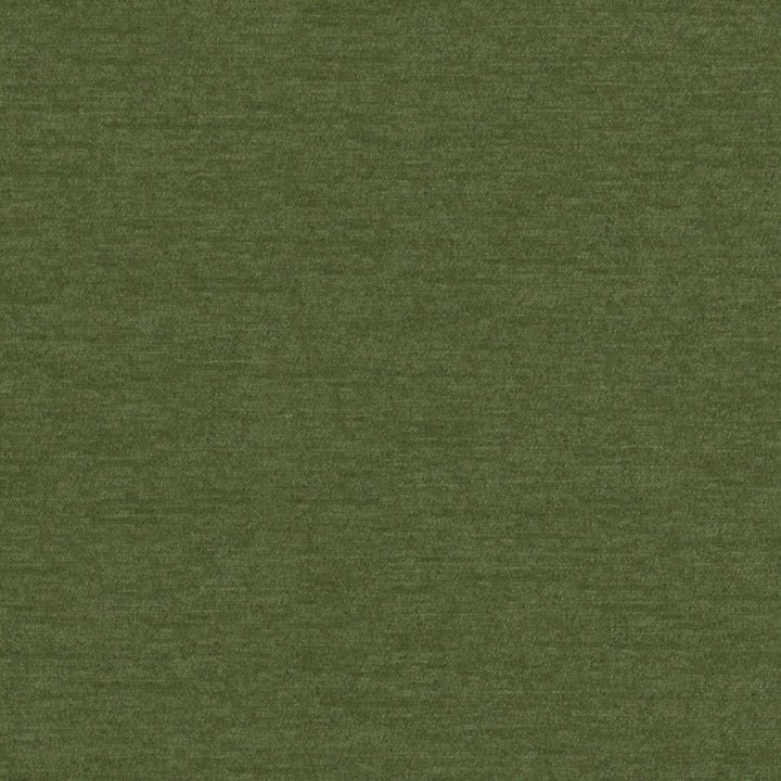 Pintura # 816 Kelp by Maxwell Designer Fabric Curled Up Viii 100% POLYESTER CHINA 55" - Swanky Fabrics -