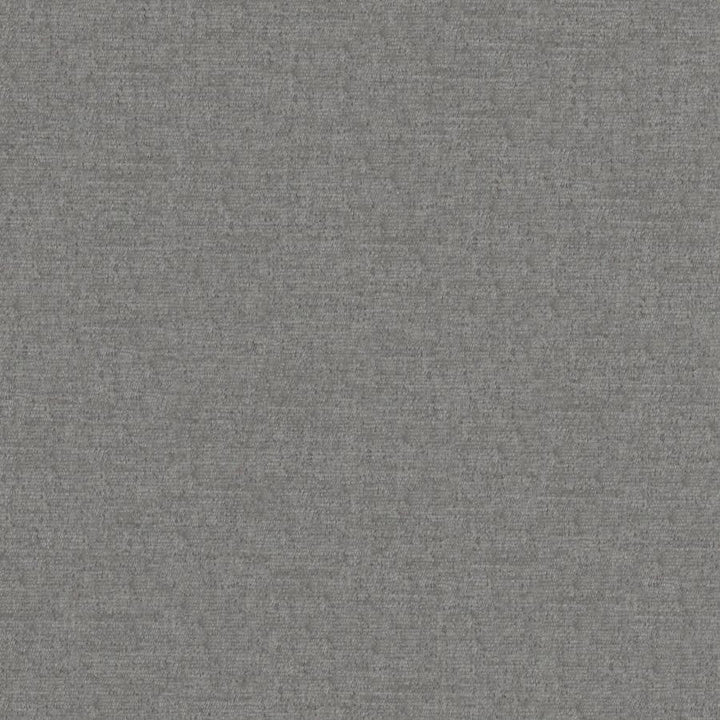Pintura # 864 Falcon by Maxwell Designer Fabric Curled Up Viii 100% POLYESTER CHINA 55" - Swanky Fabrics -
