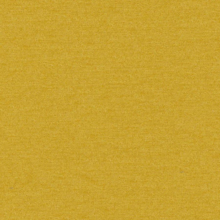 Pintura # 902 Gold by Maxwell Designer Fabric Curled Up Viii 100% POLYESTER CHINA 55" - Swanky Fabrics -