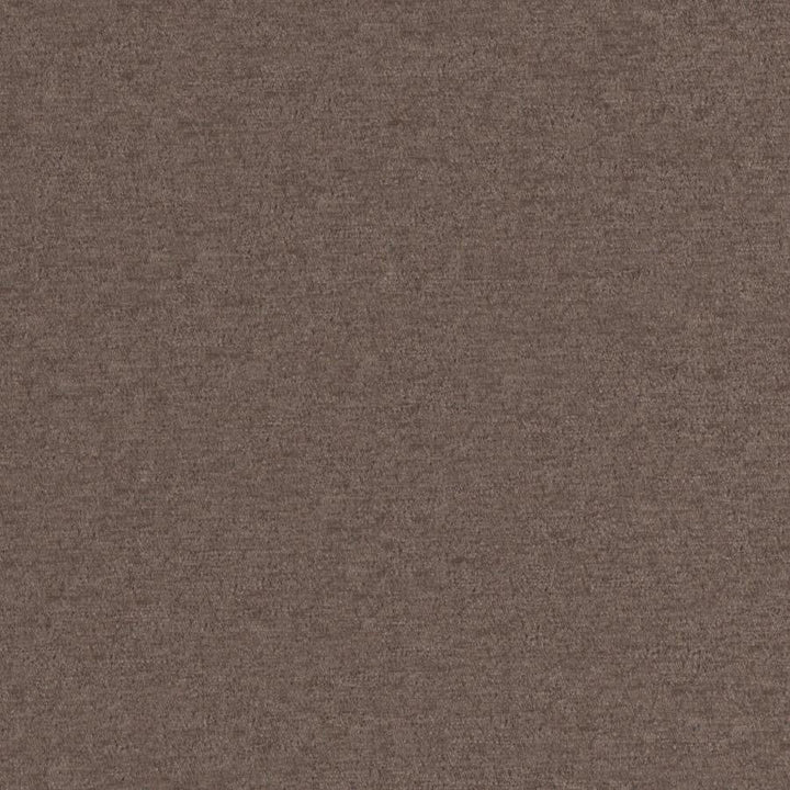 Pintura # 909 Nut by Maxwell Designer Fabric Curled Up Viii 100% POLYESTER CHINA 55" - Swanky Fabrics -