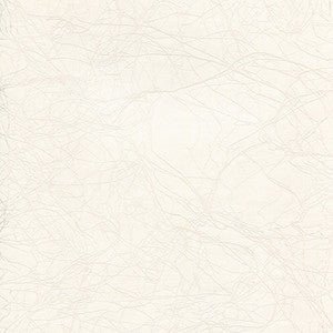 Enduratex Fabric Pacific Grove Light House View