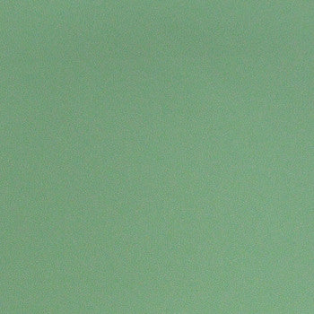 Parker Aloe by Nassimi Designer Fabric See sample 100% Polyurethane  100000 Horizontal: Not Applicable and Vertical: Not Applicable 54"  - Swanky Fabrics -