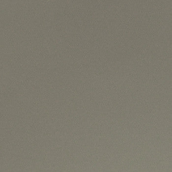 Parker Fossil EPA-010 by Nassimi Designer Fabric See sample 100% Polyurethane USA or Imported Water-based cleaning agents and foam may be used for cleaning. Cleaning by a professional cleaning service is recommended.  54  - Swanky Fabrics -