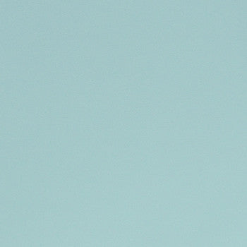 Parker Powder EPA-026 by Nassimi Designer Fabric See sample 100% Polyurethane USA or Imported Water-based cleaning agents and foam may be used for cleaning. Cleaning by a professional cleaning service is recommended.  54  - Swanky Fabrics -