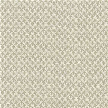 Kasmir Fabric Patio 55 Shadow