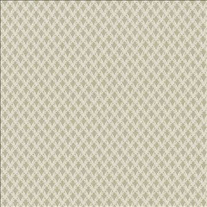 Kasmir Fabric Patio 55 Shadow