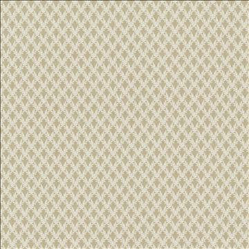Kasmir Fabric Patio 55 Taupe
