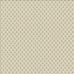 Kasmir Fabric Patio 55 Taupe