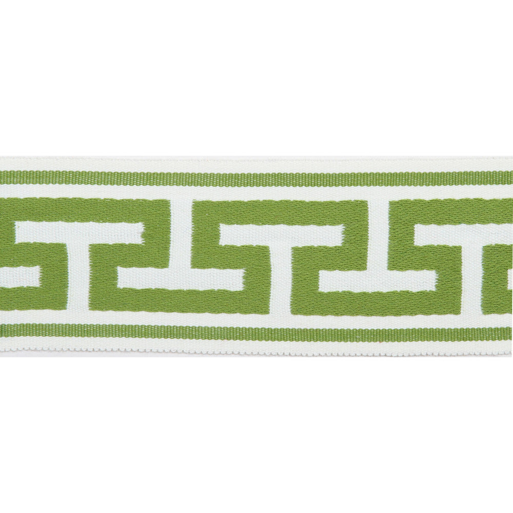 Pergola Embroidered Tape Lime by Europatex Designer Fabric Pergola 100% Solution Dyed Acrylic 2.75 inches - Swanky Fabrics -