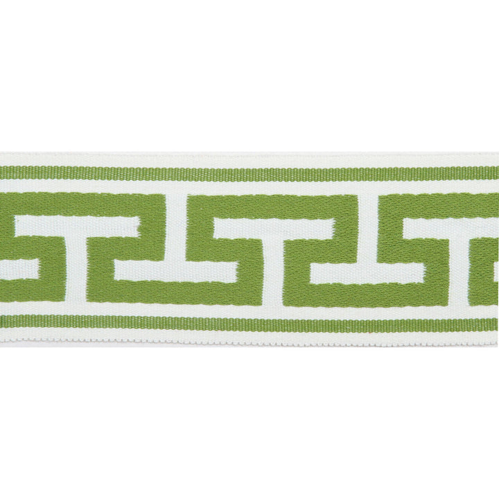 Pergola Embroidered Tape Lime by Europatex Designer Fabric Pergola 100% Solution Dyed Acrylic 2.75 inches - Swanky Fabrics -